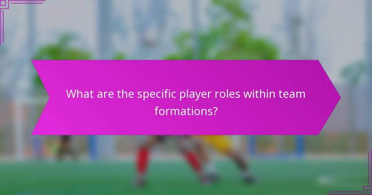 What are the specific player roles within team formations?